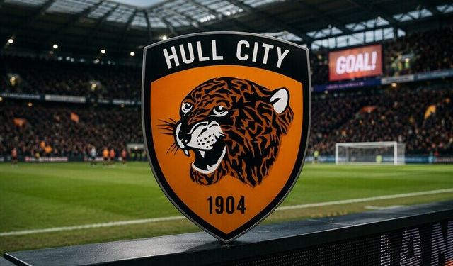 Hull City, Premier Lig'e yükseldi