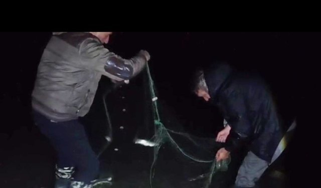 Van'da kaçak avlanan balıklar suya bırakıldı