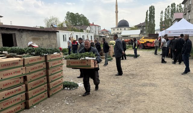 Yüksekova'da üreticilere sebze fidesi dağıtıldı