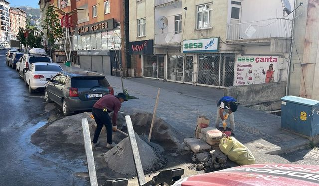 Hakkari’de hasarlı kaldırımlar yenileniyor