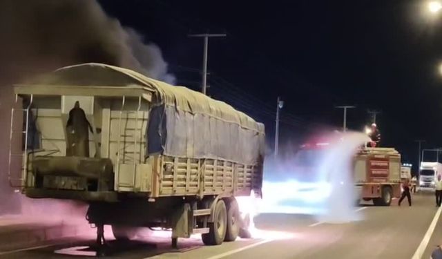 Seyir halindeki tırın dorsesinde çıkan yangın söndürüldü