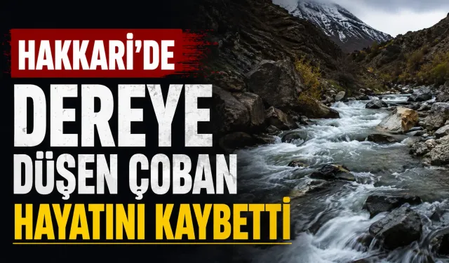 Hakkari’de dereye düşen çoban hayatını kaybetti
