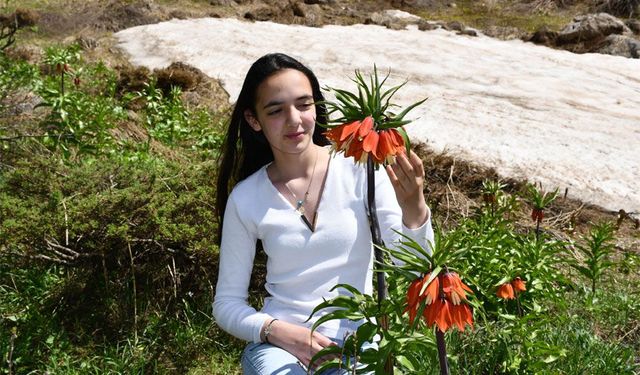 Şivişk Vadisi Haziran’da ters lalelerle renklendi