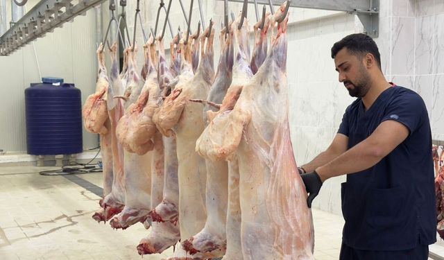 Hakkari Belediyesi’nden güvenli et hizmeti