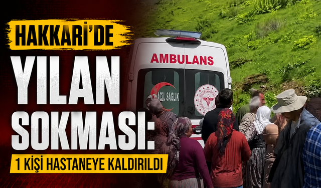Hakkari’de yılan sokması: bir kişi hastaneye kaldırıldı