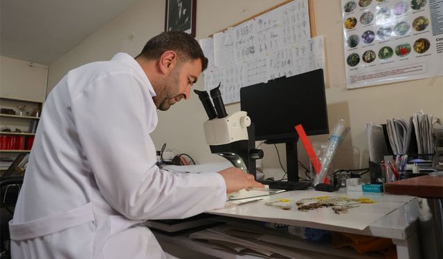 Hakkari'de kayıt altına alınan bitki türü sayısı 800'e çıktı