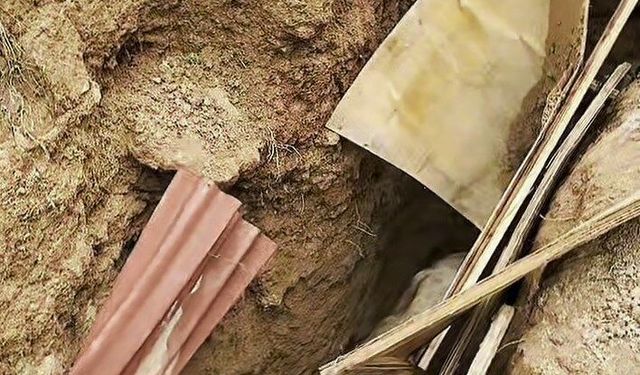 Kuyuya düşen boğayı itfaiye kurtardı