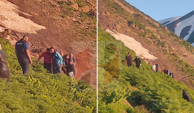 Hakkari'de pancar toplarken düşen vatandaş yaralandı