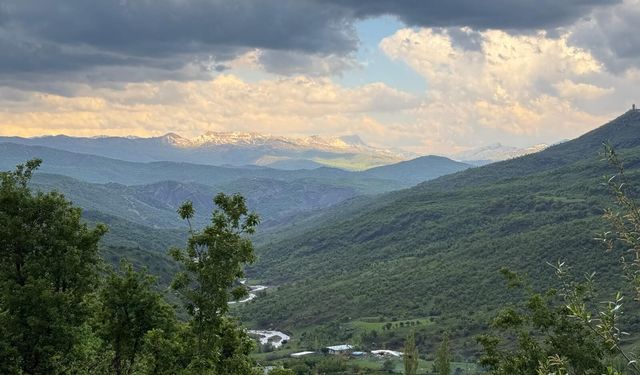 Şırnak'ta ormanlara girişler 30 Eylül'e kadar yasaklandı