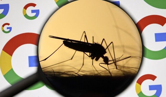 Google 32 milyon kısır sivrisinek salacak