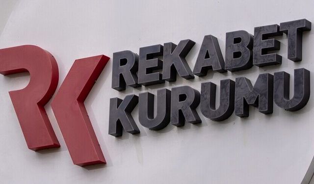 Vize aracılık firmalarına inceleme başlatıldı