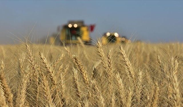 Bu yıl çiftçilere ürün paralarını erken ödemeyi planlıyor