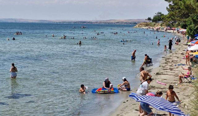 Uzmandan deniz ve havuz için hastalık uyarısı