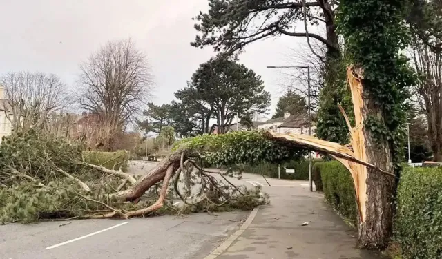 Meteoroloji’den Hakkari için sarı kodlu fırtına uyarısı