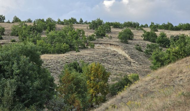 Erzincan'da heyelan riski nedeniyle 6 bağ evi tahliye edildi