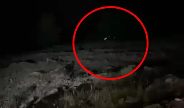 Ticari araç uçuruma yuvarlandı. 4 kişi öldü