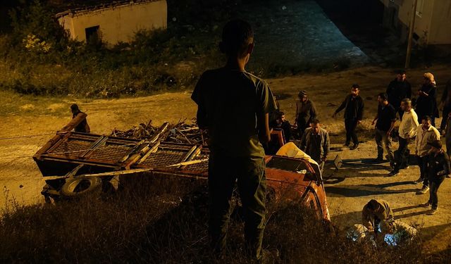 Hakkari'de odun yüklü kamyon devrildi