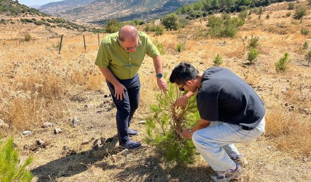 Kuraklığı önlemede 'su hasadı' yöntemi ile 2 kattan fazla başarı