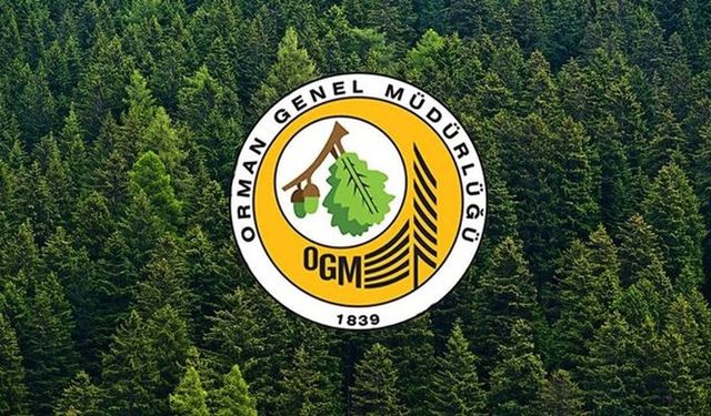 Orman Genel Müdürlüğü çok sayıda personel alacak