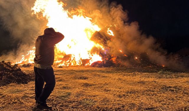 Hakkari’de 5 bin ot balyası yangında kül oldu