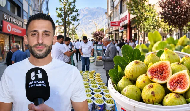 Çukurca inciri Hakkari'de kapış kapış satılıyor