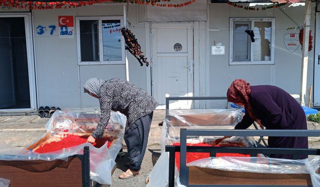 Depremzede kadınların 'salça' ve 'kurutmalık' telaşı