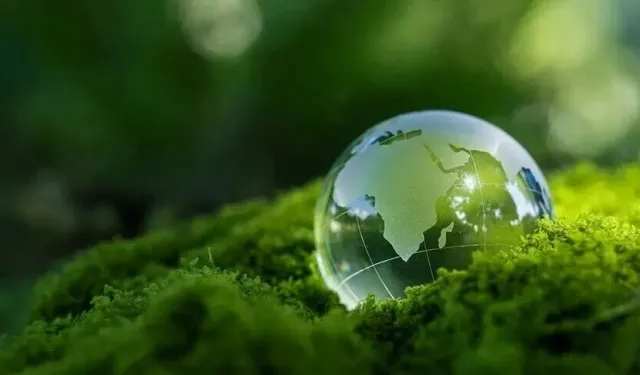 "Sıfır atık" ilk kez COP gündemine taşınıyor