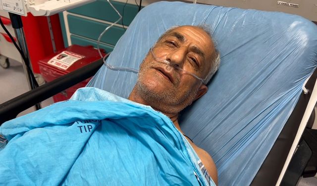 Kovanların bakımını yaparken arı saldırısında yaralandı