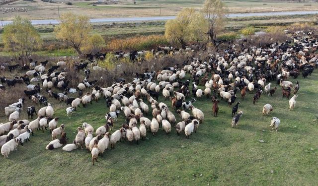 Van ve Bitlis’te göçerlerin dönüş yolculuğu başladı