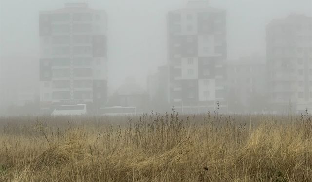 Diyarbakır'da sis nedeniyle uçak seferleri aksadı