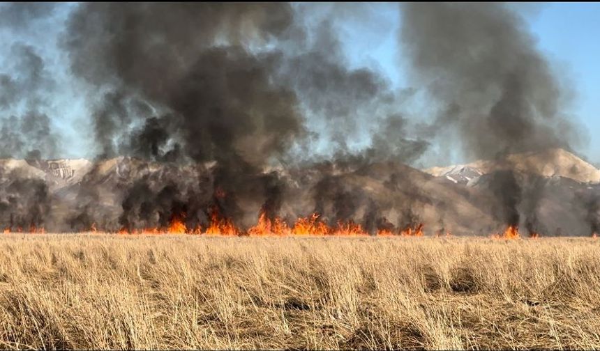 Yüksekova'daki Nehil Sazlığı'nda yangın