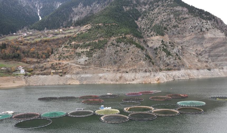 Türk somonu ihracatı 2 milyar dolara ulaştı
