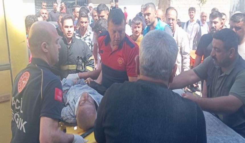 Yoldan geçerken minibüs çarptı; hastanede hayatını kaybetti
