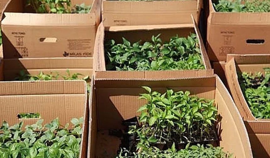 Hakkari'de fide desteği başvuruları başladı