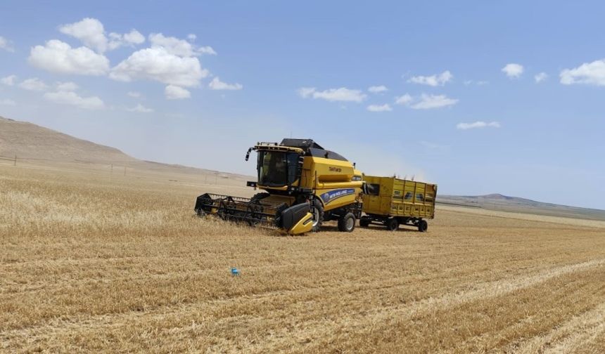 Mayısta Erzurum'a kar yağarken Mardin'de ilk hasat yapıldı