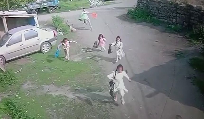 Ağrı'da kaçan kurbanlık boğa çocukları kovaladı