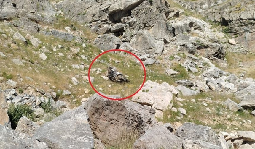 Batman'da bilirkişi ekibini taşıyan araç, şarampole yuvarlandı: 5 ölü