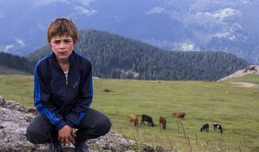 DEM Parti'den kritik dönemde çok önemli telefon