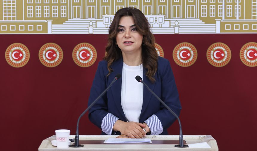 DEM Partili Gülistan Koçyiğit Hakkari'ye geliyor