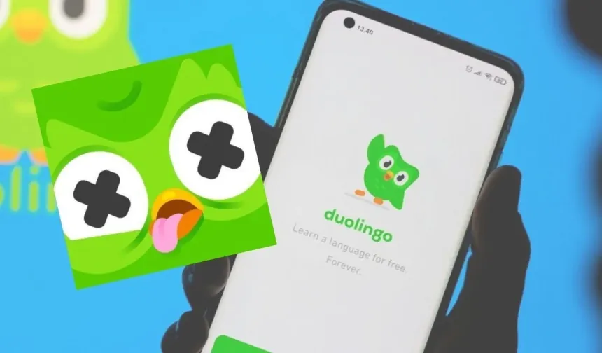 Kürtler Duolingo için harekete geçti