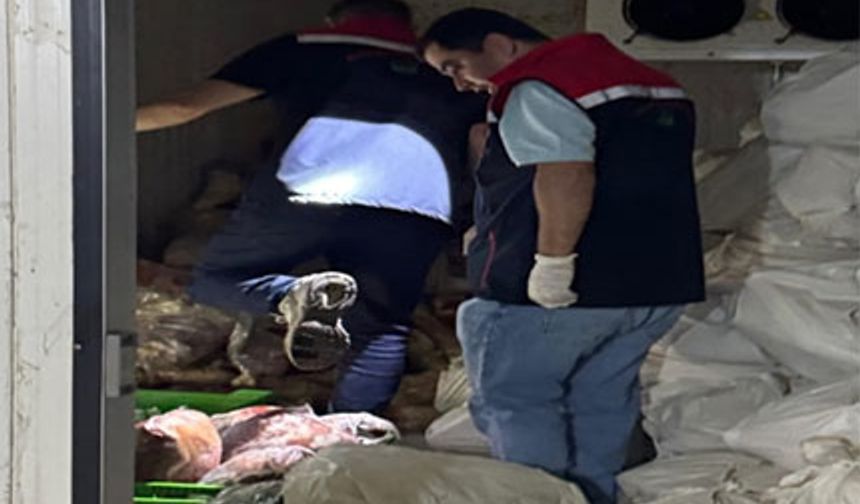 Şırnak'ta 3 ton kaçak et ele geçirildi