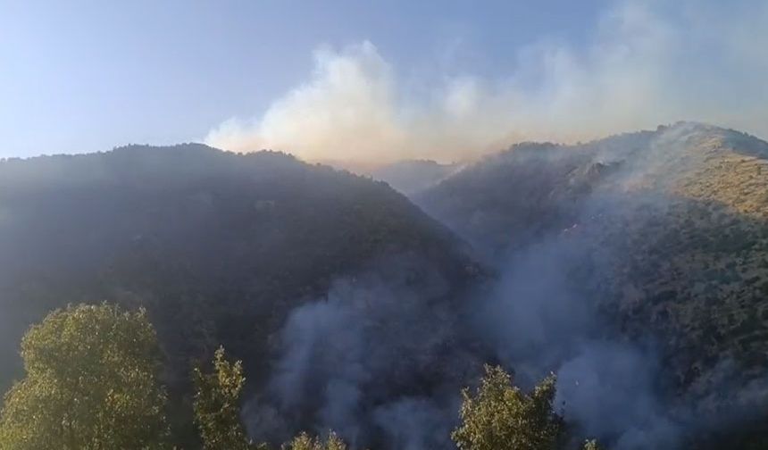 Hakkari'deki yangınına müdahale sürüyor