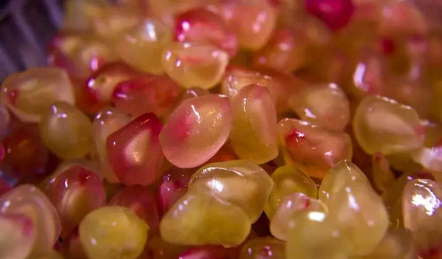 Karaciğer sağlığını destekleyen 6 en iyi besin