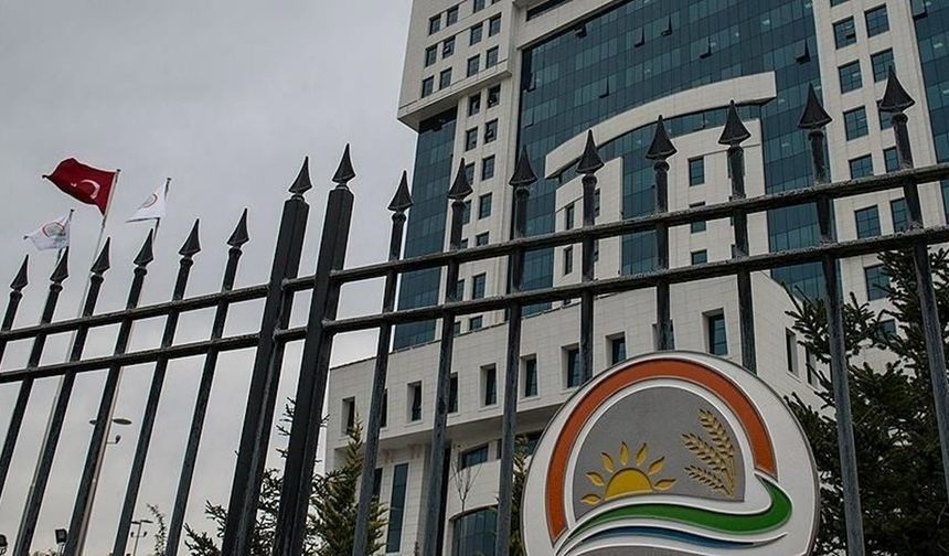 Tarım ve Orman  çok sayıda personel alınacak