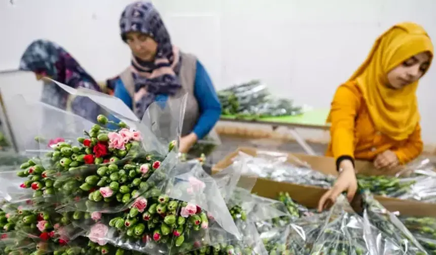 Çiçekte 10 aylık ihracat rekoru