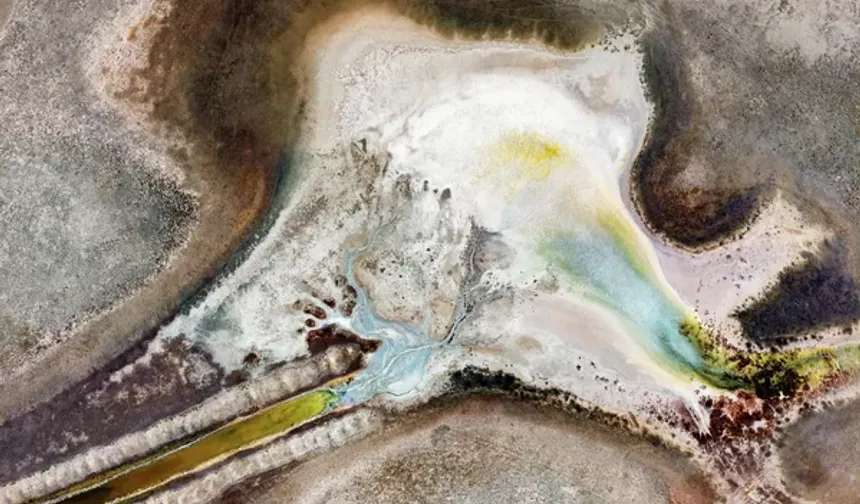 Kuş Cenneti'nde kuş nüfusu azalıyor