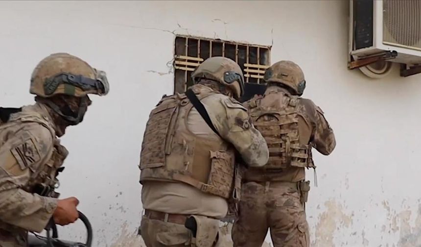 Organize suç örgütlerine operasyon