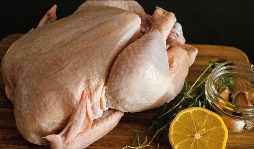 Tavuk eti üretimi ekimde yıllık bazda %8,7 arttı