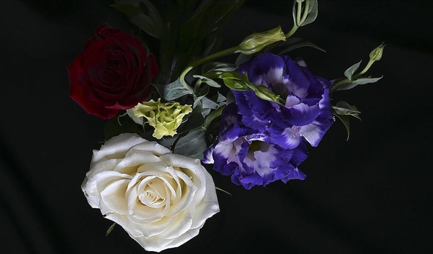 Türkiye’den yılbaşında 12 milyon dolarlık çiçek ihracatı