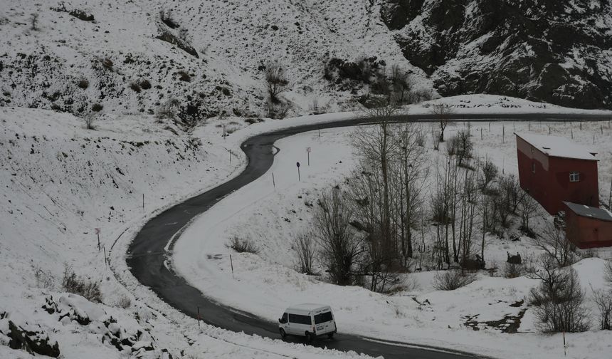 Kar ve sis Hakkari'ye farklı bir renk kattı